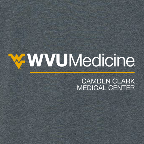 Gildan SoftStyle Fitted T-Shirt -- Dark Heather