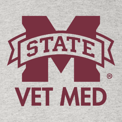 Gildan Heavy Cotton Basic T-Shirt -- Ash