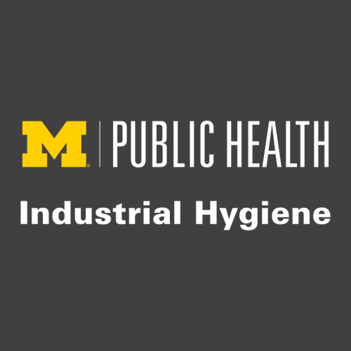 Ladies Nike Golf Dri Fit Vertical Mesh Polo -- Anthracite