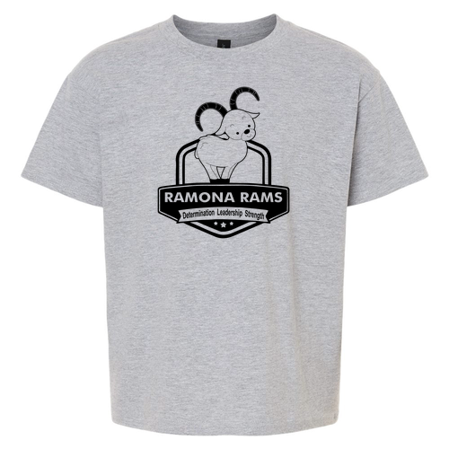 Gildan Youth Softstyle T-Shirt -- Sport Grey