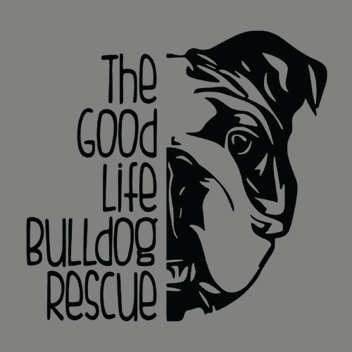 Good Life Bulldog Rescue Tee -- Ash Grey