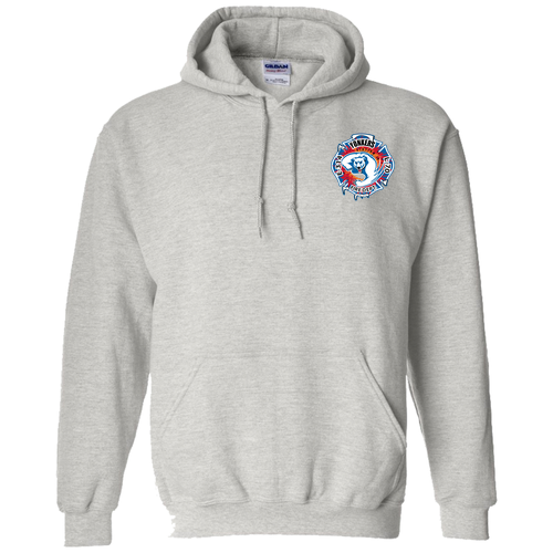 Station 14 Basic Hoodie -- Ash