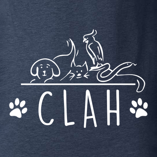 Bella Canvas Unisex Heather CVC T-Shirt -- Heather Navy