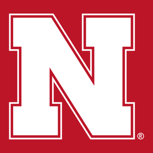 Comfort Colors Heavyweight Adult T-Shirt -- Red