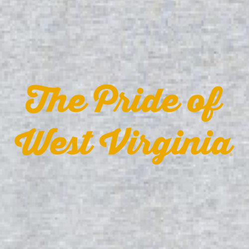 Gildan Heavy Blend Hooded Sweatshirt -- Sport Grey