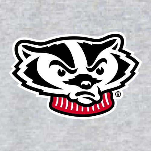 Gildan SoftStyle Fitted T-Shirt -- Sport Grey