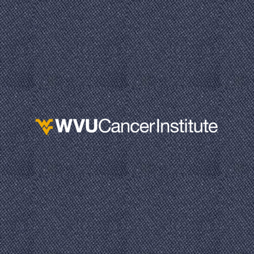 Charles River Mens Heathered Fleece Pullover -- Navy Heather