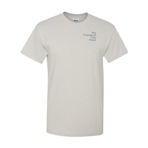 Gildan Heavy Cotton Basic T-Shirt -- Ice Grey
