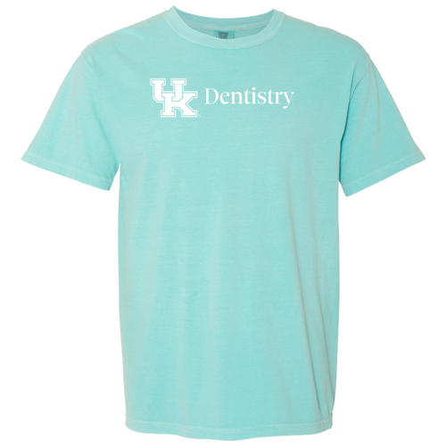 Comfort Colors Heavyweight Adult T-Shirt -- Chalky Mint