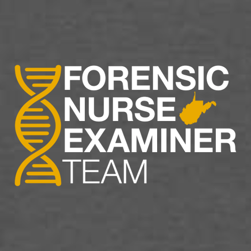 Gildan SoftStyle Fitted T-Shirt -- Charcoal