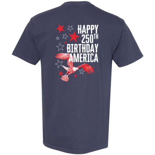 Comfort Colors Unisex Garment-Dyed Heavyweight T-Shirt -- Navy