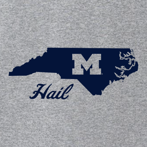 Next Level Soft Fitted Cotton Tee -- Heather Grey