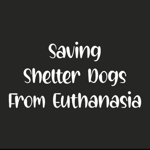 Gildan Heavy Blend Hooded Sweatshirt -- Black