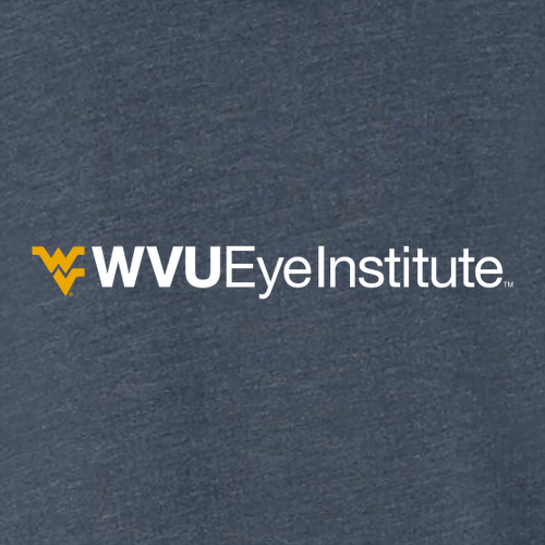 Gildan SoftStyle Fitted T-Shirt -- Heather Navy