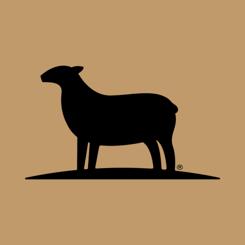 AS Colour Surf Cap -- Camel