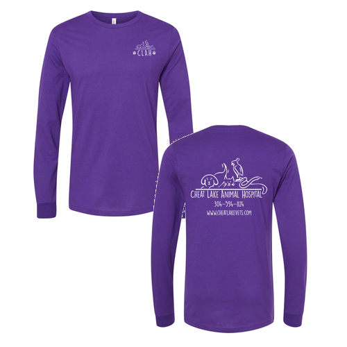 Bella Canvas Unisex Jersey Longsleeve Tee -- Team Purple