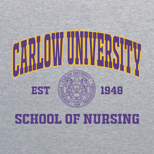 Gildan Softstyle Longsleeve T Shirt -- Sport Grey