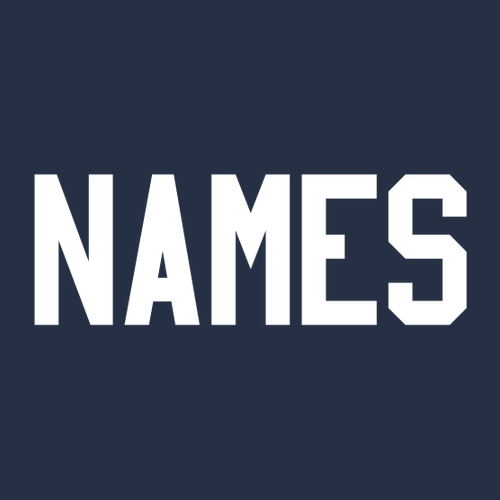 Sponge Fleece Hoodie -- Navy