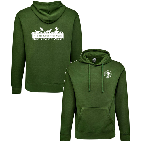 J America Unisex BTB Fleece Hooded Sweatshirt -- Forest Green