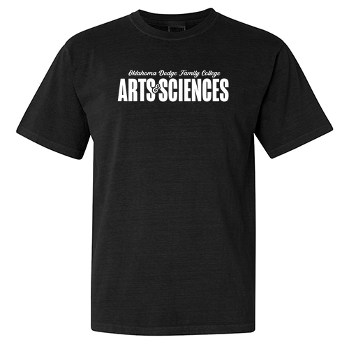 Comfort Colors Ringspun Garment Dyed T Shirt -- Black