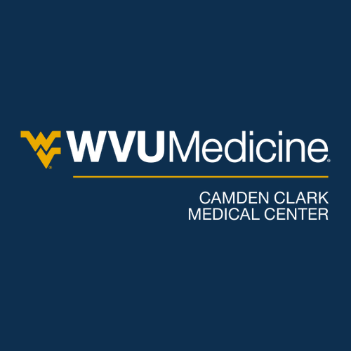 Gildan SoftStyle T-Shirt -- Navy