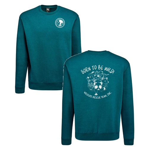 J. America BTB Fleece Crew -- Storm