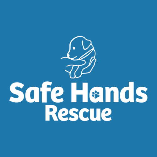 Comfort Colors Ringspun Long Sleeve Tee -- Royal Caribe