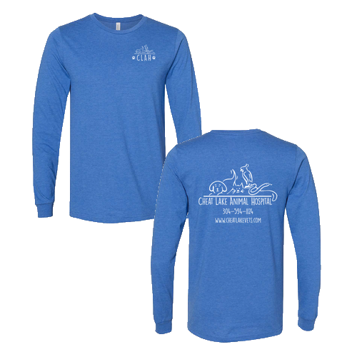 Bella+Canvas Unisex Heather Cvc Long Sleeve Tee- Heathers -- Heather True Royal