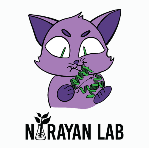 Catnip T-Shirt -- White