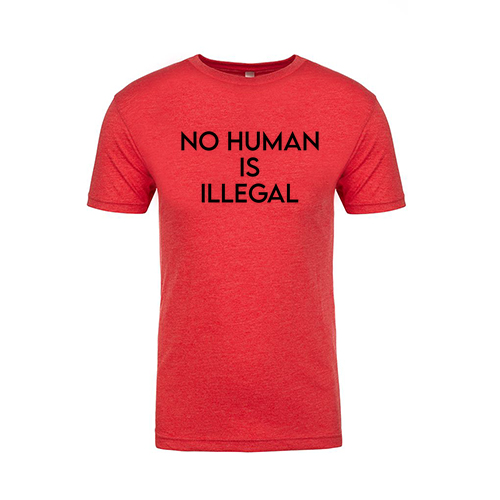 Mens/Unisex Next Level Soft Fitted Triblend Tee -- Vintage Red, No Human