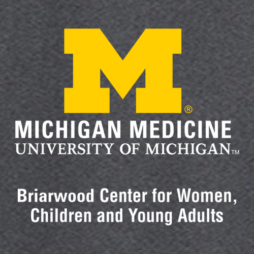 Mens/Unisex Briarwood Center for Women Charles River Crosswind Quarter Zip Sweatshirt -- Dark Charcoal