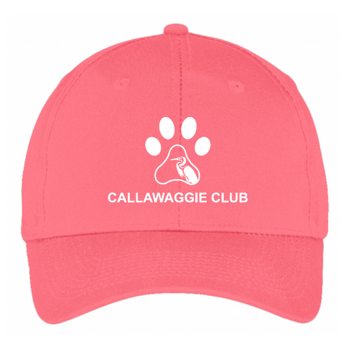 Port and Company 6-panel Twill Hat -- Neon Pink