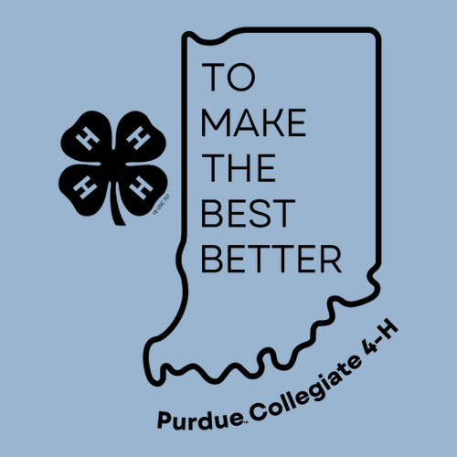 Gildan Heavy Blend Crew Neck Sweatshirt -- Light Blue