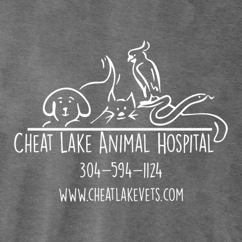 Bella+Canvas Unisex Heather Cvc Long Sleeve Tee- Heathers -- Dark Grey Heather