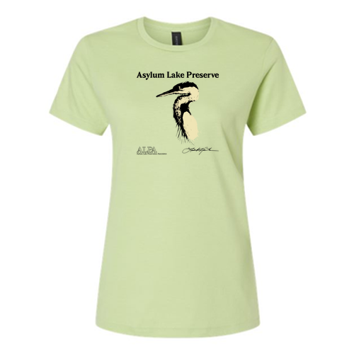 Gildan Ladies Fashion Fit T-Shirt -- Pistachio