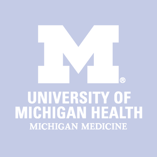 Ladies Next Level Ideal V-Neck Tee -- Lilac