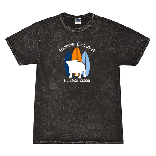 Colortone Mineral Wash T-Shirt -- Mineral Black