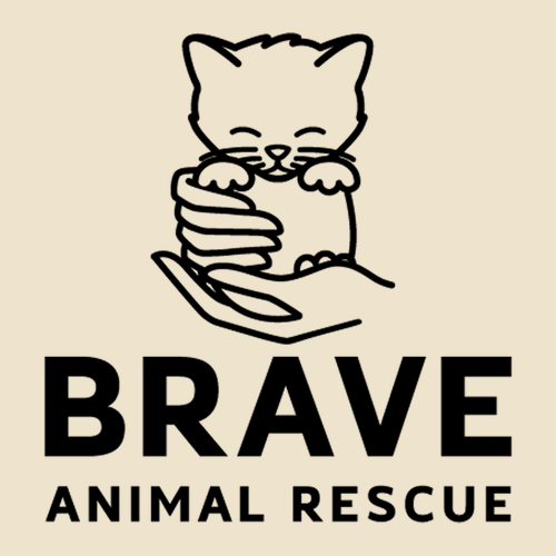 Embroidered Brave Dad Cap -- Stone