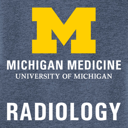 Ladies District Made Soft Fitted Perfect Tri V-Neck Tee -- Navy Frost