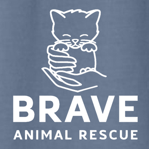 Brave Lightweight Crewneck Sweatshirt -- Blue Jean