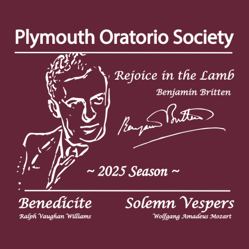 Gildan Ultra Cotton Basic T-Shirt -- Maroon