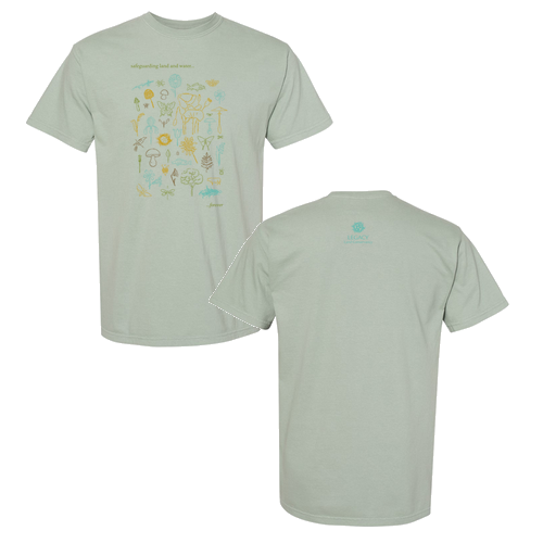 Mens/Unisex Comfort Colors Soft Ringspun Garment Dyed T Shirt -- Bay