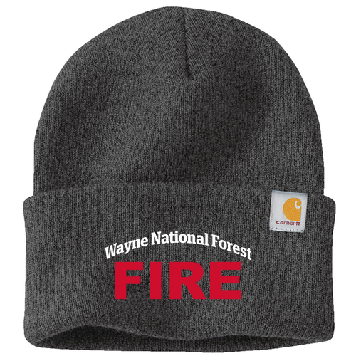 Carhartt Watch Hat 2.0 -- Coal Heather -- Embroidered