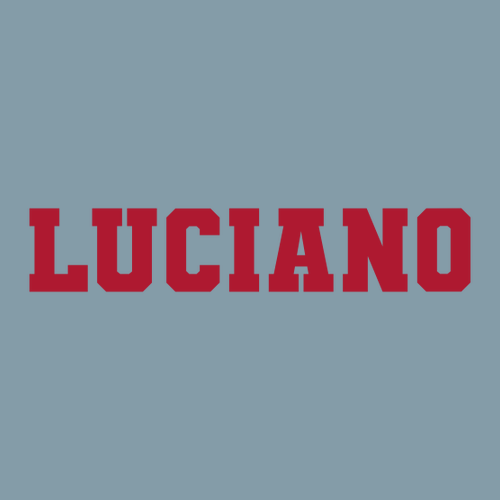 Youth Heavyweight Tee -- Vintage Denim LUCIANO