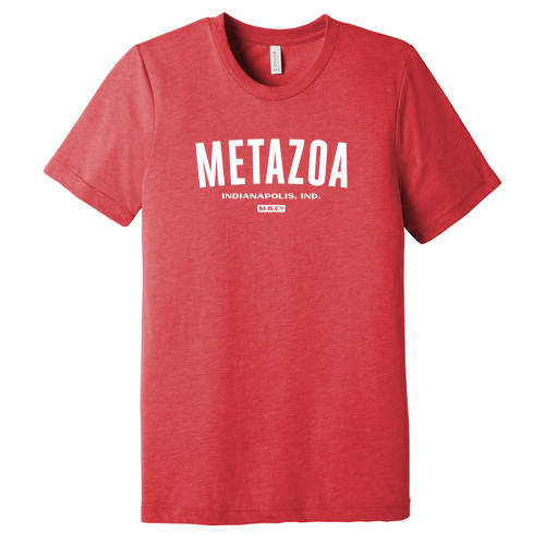 Bella Canvas Triblend Short Sleeve T-Shirt -- Red Triblend