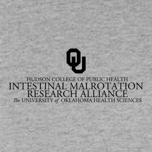 Gildan Youth Softstyle T-Shirt -- Sport Grey