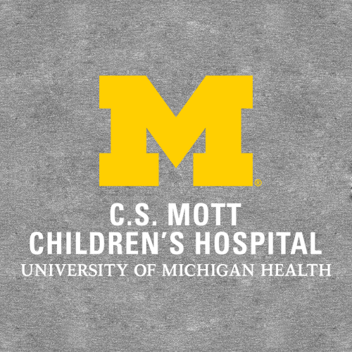 District Made Mens Perfect Tri Long Sleeve Crew Tee -- Grey Frost