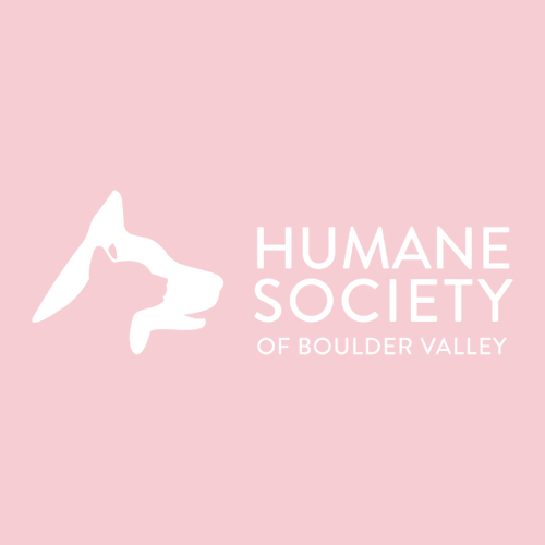 Gildan Heavy Cotton Longsleeve Basic T-Shirt -- Light Pink