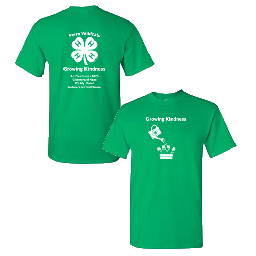 Gildan Heavy Cotton Basic T-Shirt -- Irish Green
