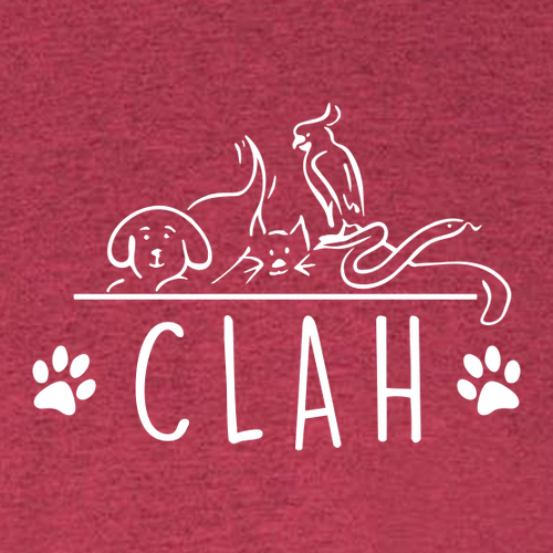 Bella+Canvas Unisex Heather Cvc Long Sleeve Tee- Heathers -- Heather Cardinal